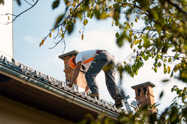 Best Roof Waterproofing Services  in Scottville, MI