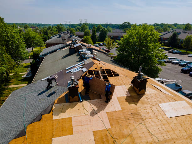 Best Residential Roofing Contractor  in Scottville, MI