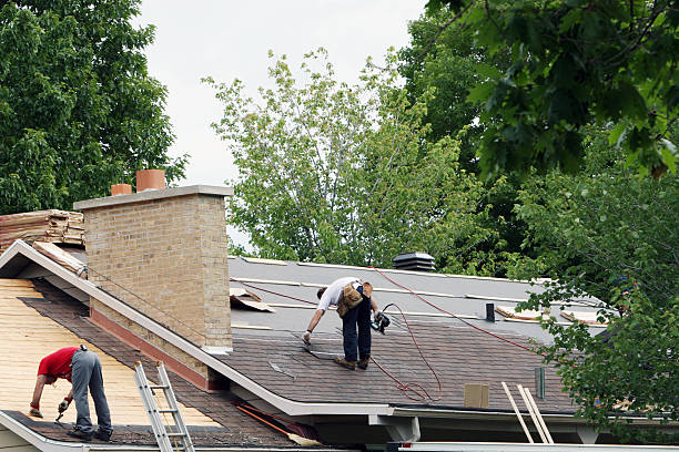 Best Metal Roofing Contractor  in Scottville, MI