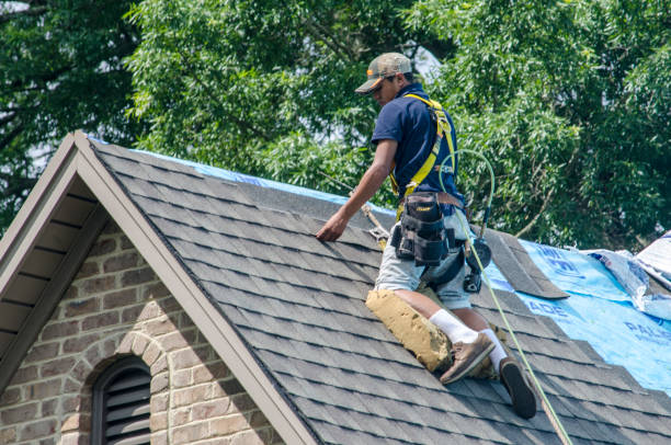 Best Sealant for Roof  in Scottville, MI
